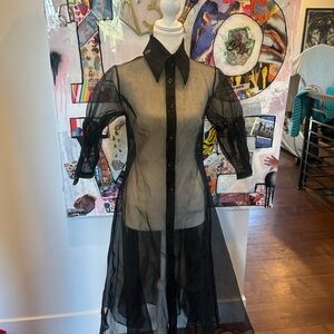 Elegant Black Sheer Dress